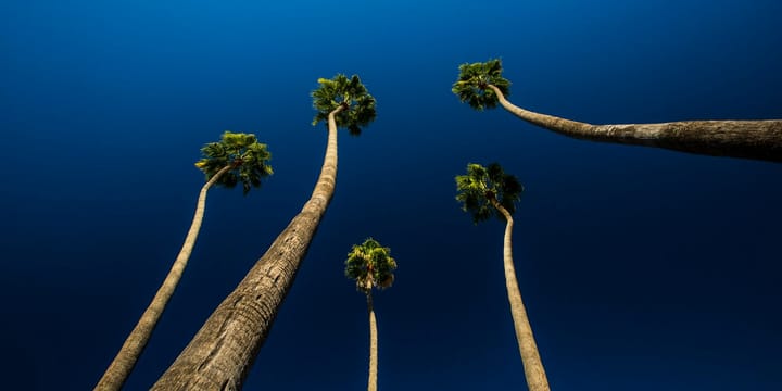 Our 5 Most-Read Articles of 2025