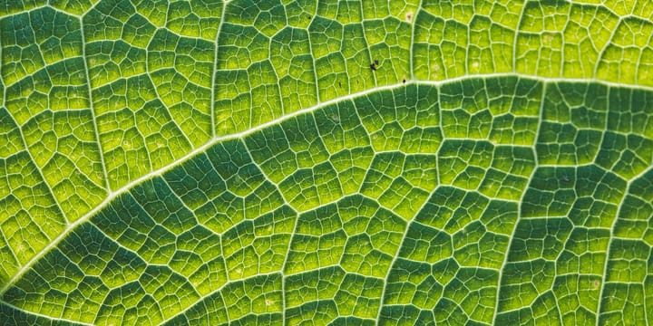 Community Networks: Critical Infrastructure For Rural Connectivity In India